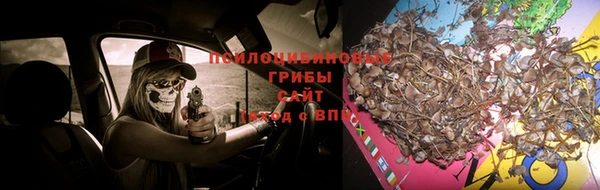тгк Волосово