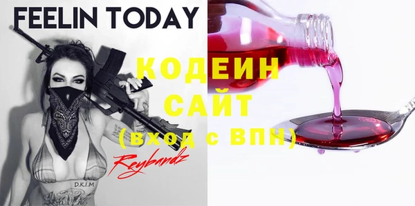 ГАЛЛЮЦИНОГЕННЫЕ ГРИБЫ Верея