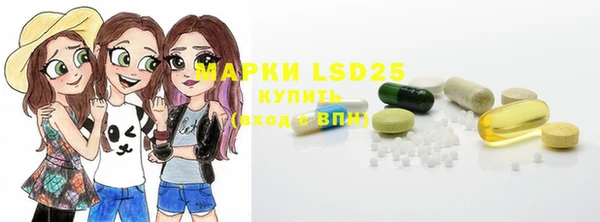 ГАЛЛЮЦИНОГЕННЫЕ ГРИБЫ Верея