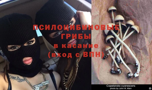 гидра Володарск