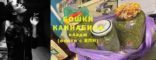 гидра Володарск