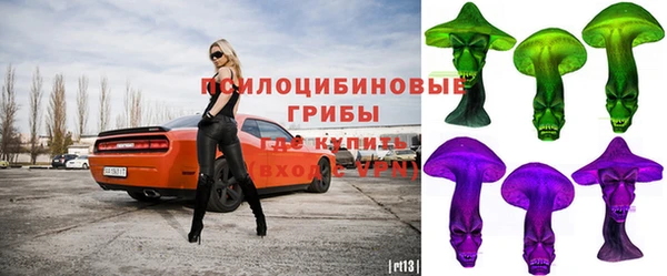 мдпв Волоколамск